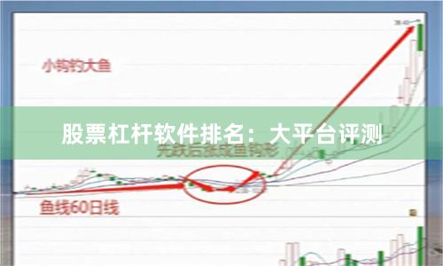 股票杠杆软件排名：大平台评测