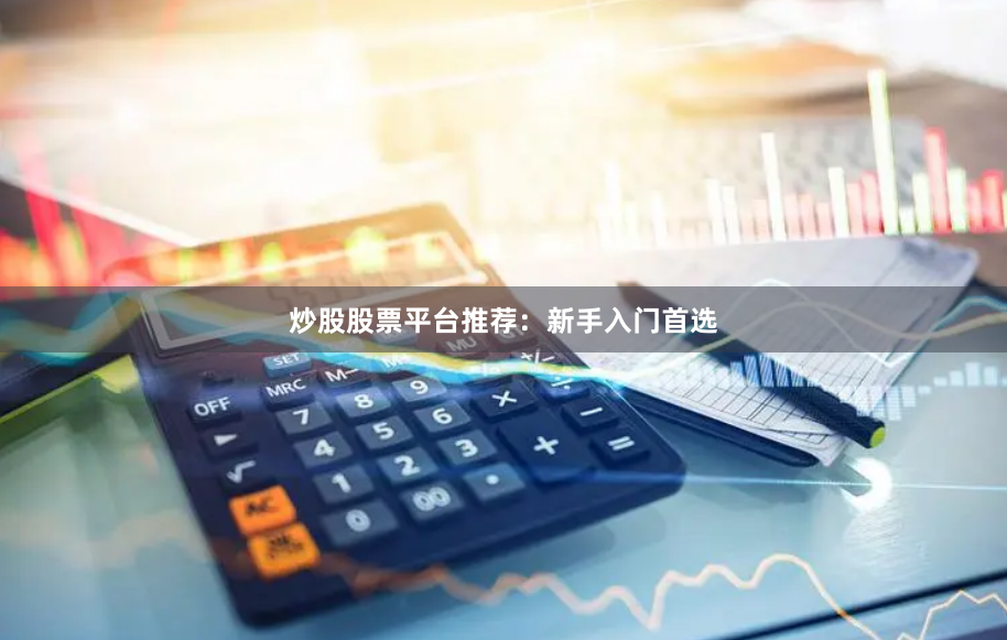 炒股股票平台推荐：新手入门首选